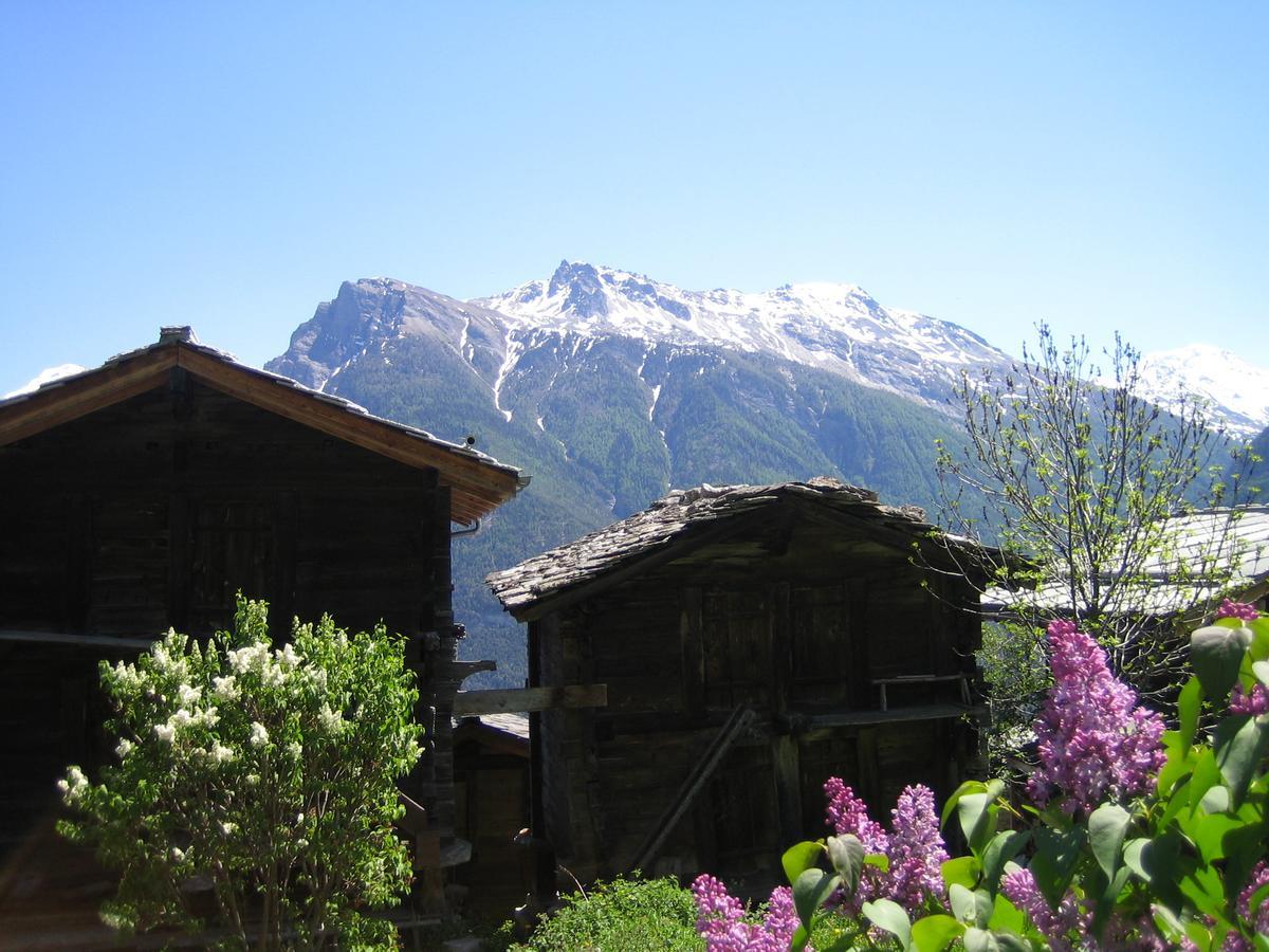 Bergquell Haus D Apartment Blatten bei Naters Bagian luar foto