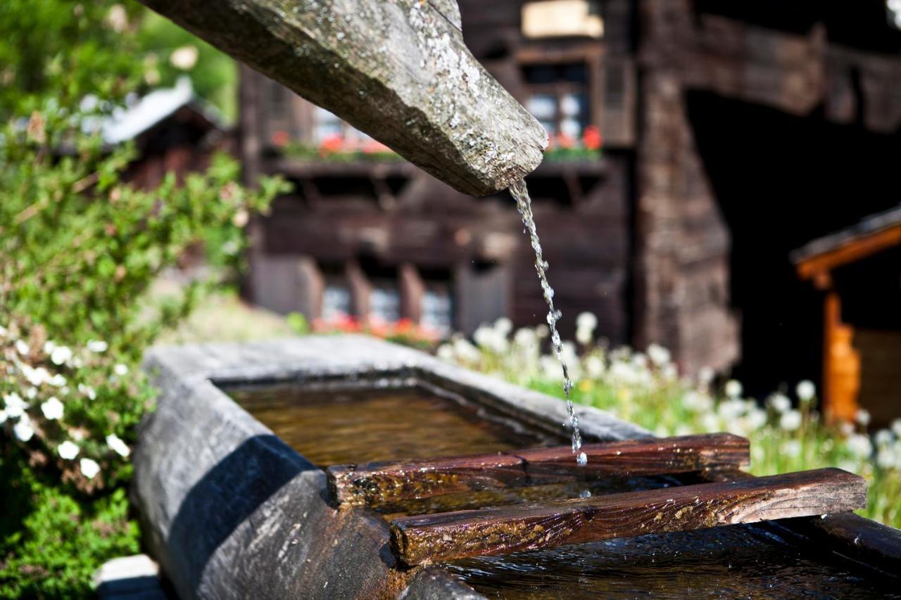 Bergquell Haus D Apartment Blatten bei Naters Bagian luar foto